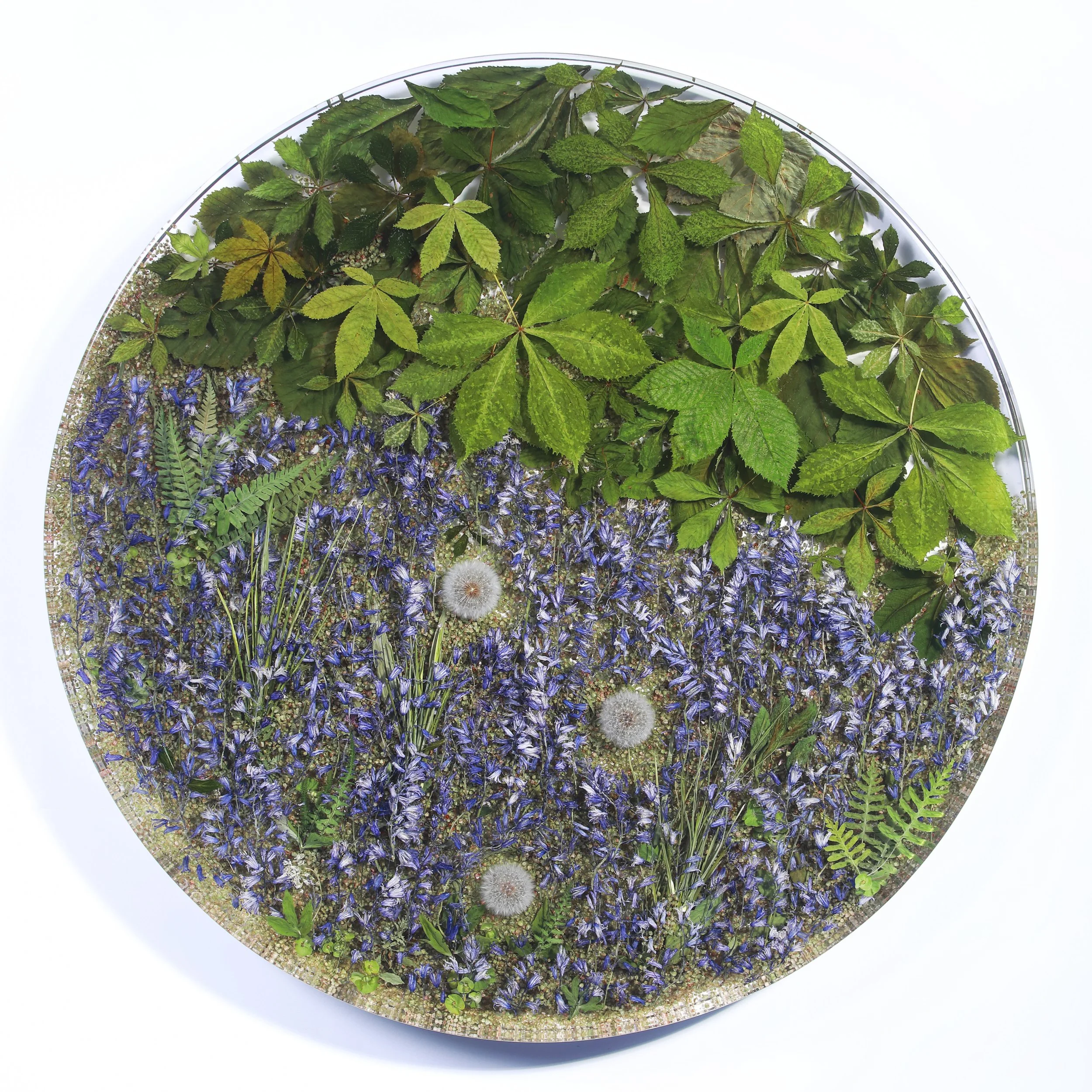 Sasha Sykes | Filial Love — Voltz Clarke Gallery